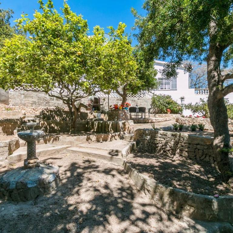 Villa los brezos - Casa - 36