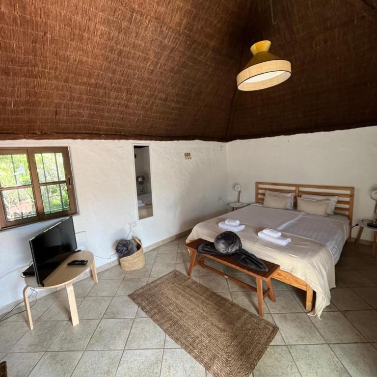 Pajar - Finca Tabaiba By TOR - Casa con 1 dormitorio - 2