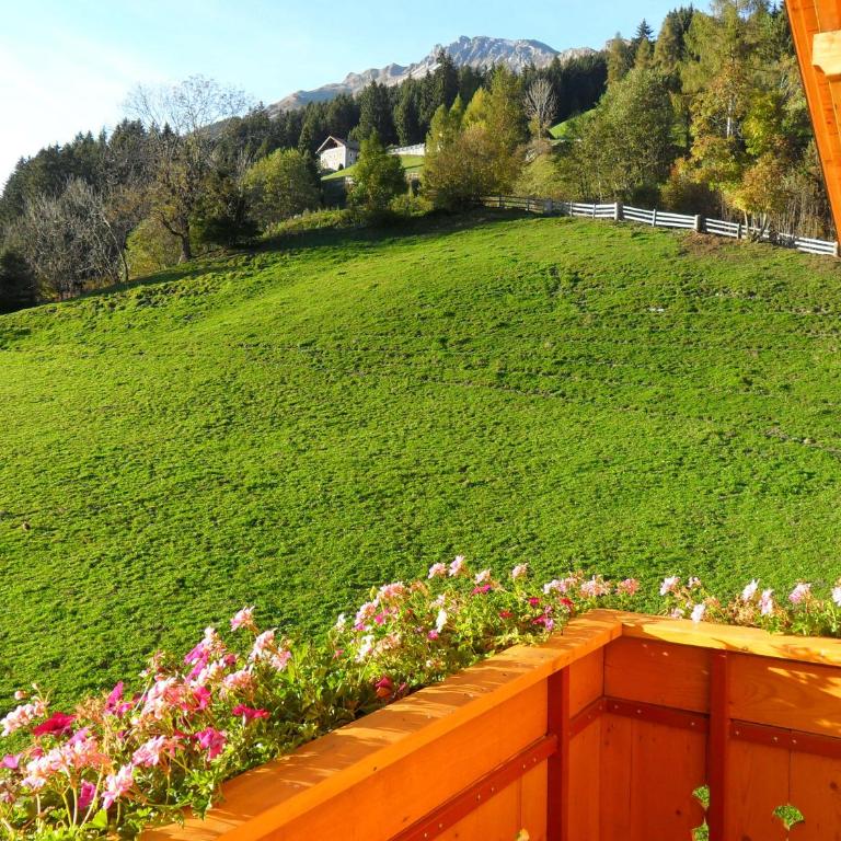 Maurerhof Telves - Apartamento de 1 dormitorio (4 adultos) - 2