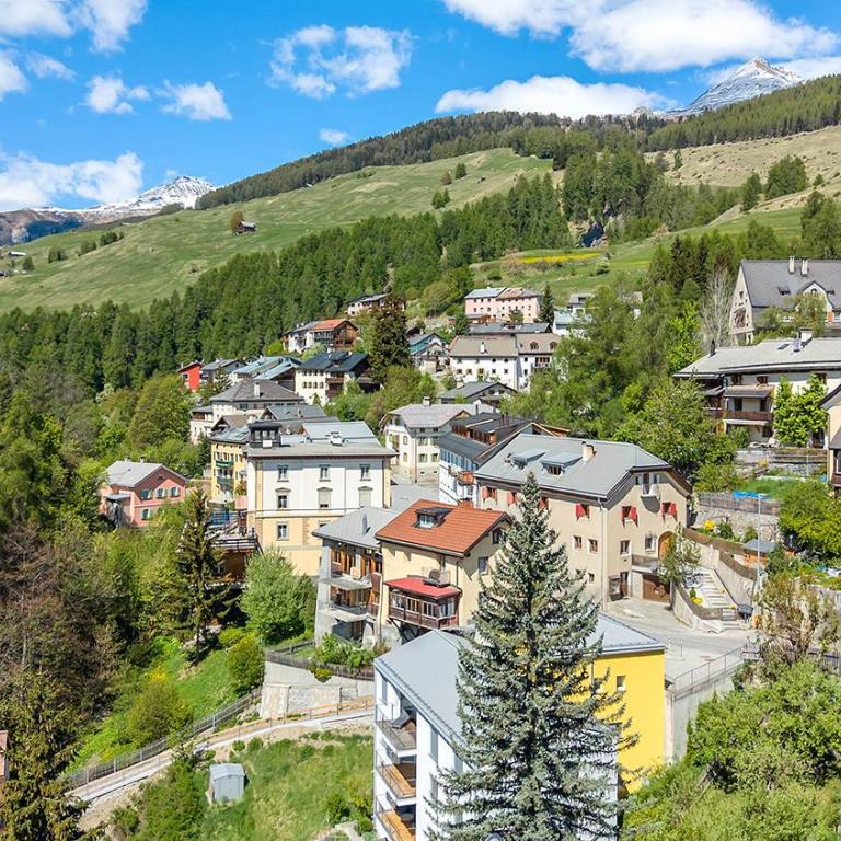 Chasa Uina 2,5 Parterre - Apartment - 16