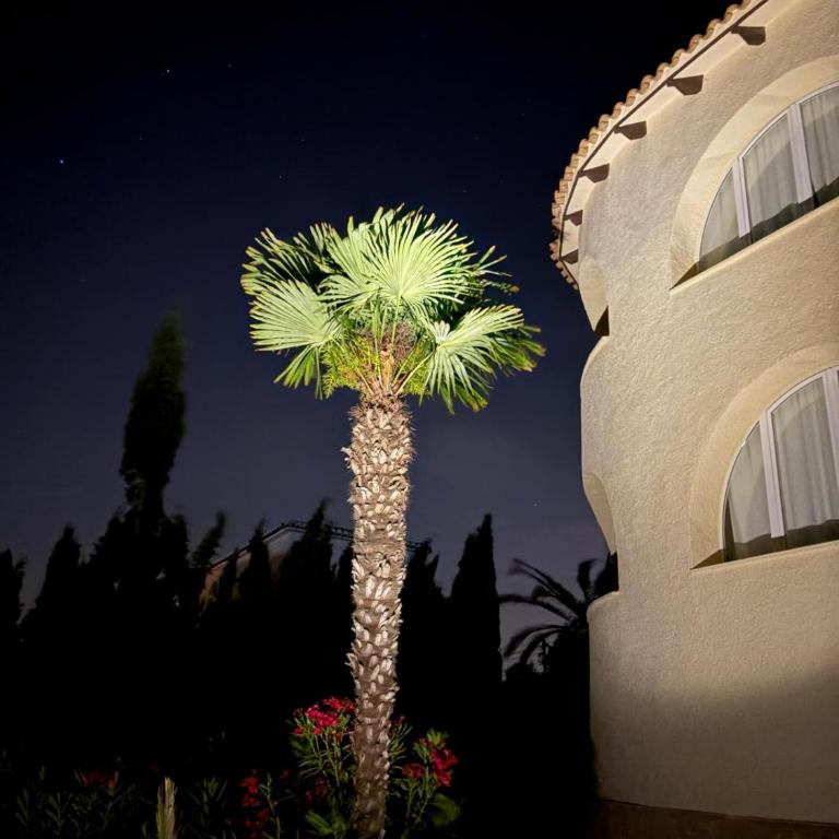 Casa Luis - Javea - Spanien - Maison de Vacances - 38