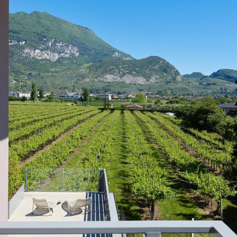 Rolly - Rooms & Restaurant - Camera Matrimoniale/Doppia con Letti Singoli con Balcone - 6