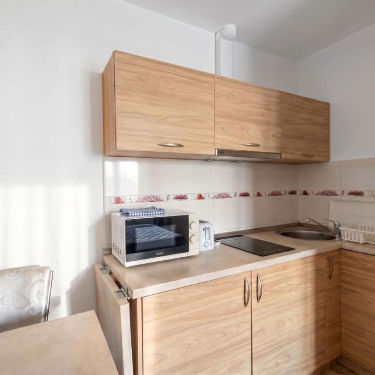 BigMontenegro Belveder - Studio Apartman - 2