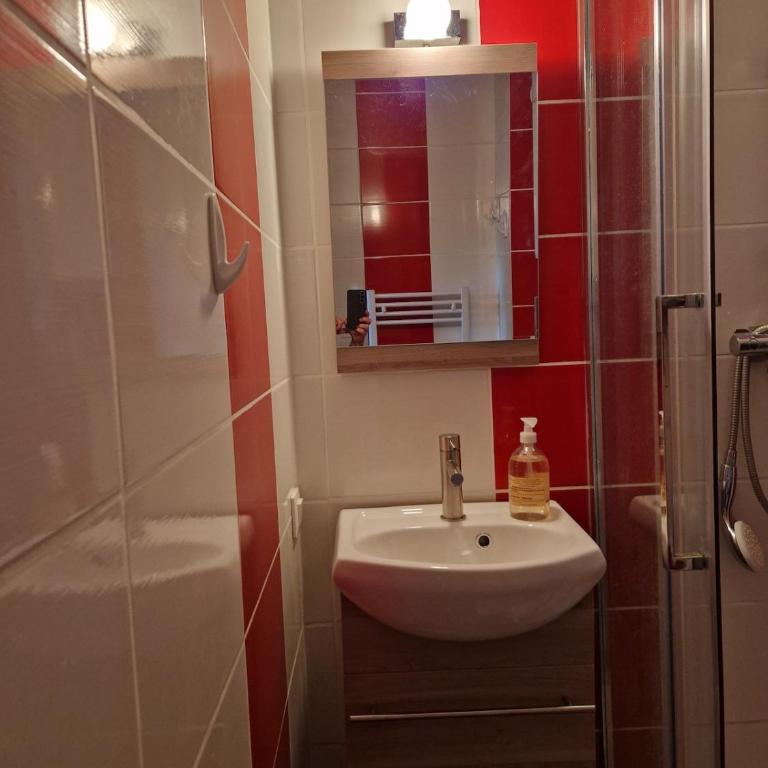 F2 à 100m de la plage avec wifi. - Appartement 1 Chambre - 21