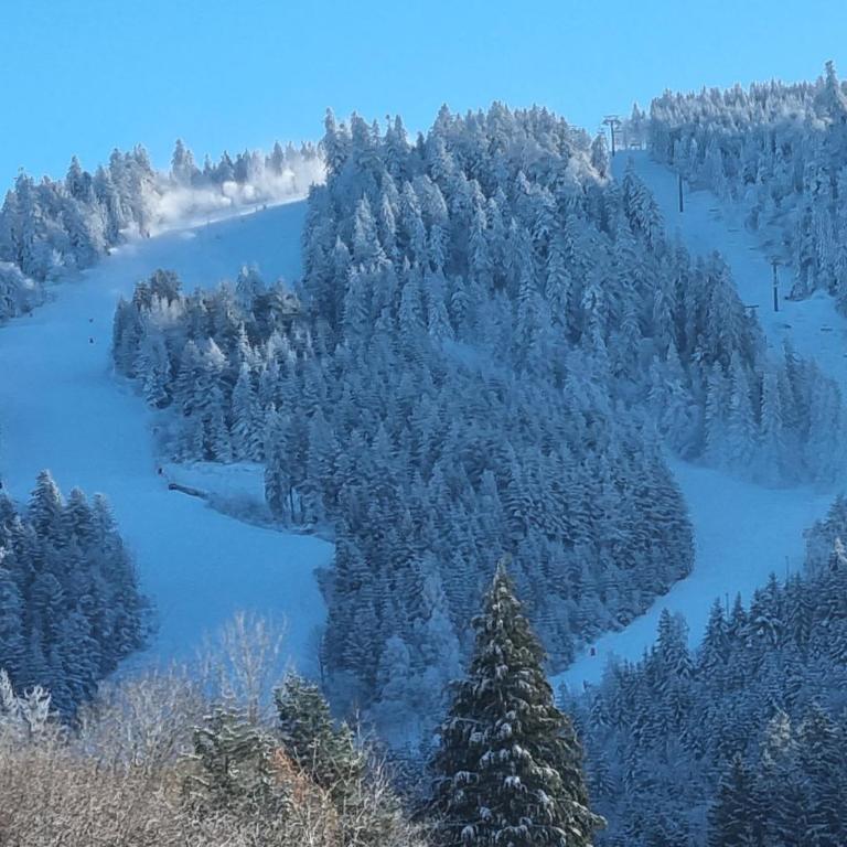 chalets les biches - Chalet Supérieur - 49