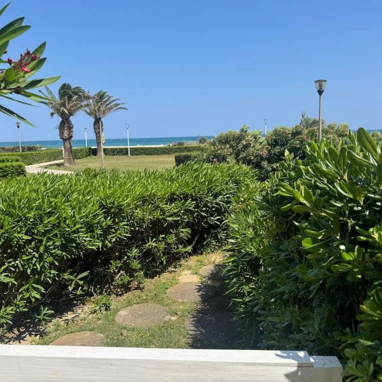 Les pieds dans l'eau - accès mer - Studio-Apartment mit Meerblick - 4