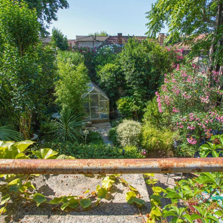 Charming bright house in Avignon for 6 people - Ferienhaus - 13