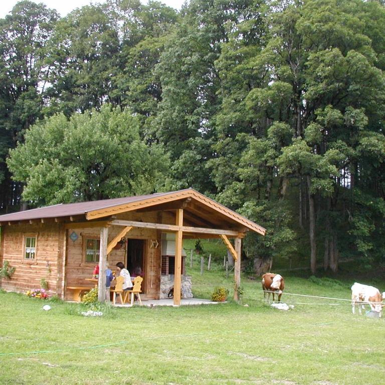Lochgrubgut - Apartment - 11