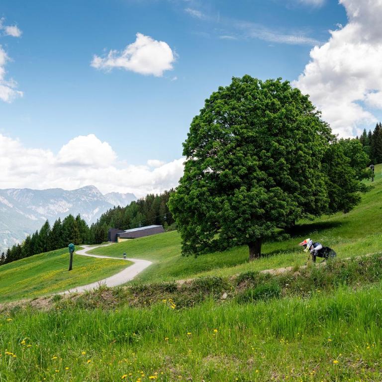 Kesslerhütte Planai - by myNests - Haus mit 1 Schlafzimmer - 14