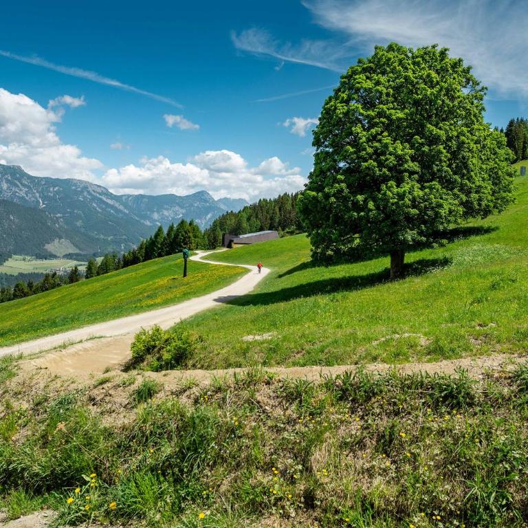 Kesslerhütte Planai - by myNests - Haus mit 1 Schlafzimmer - 19