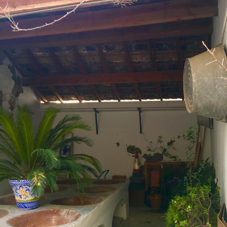Casas de Sevilla - Apartamento Puente de Triana - Apartamento Dúplex - 18