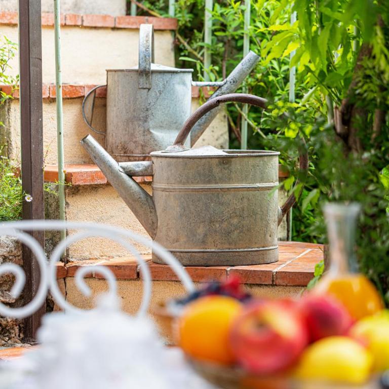 Maison provençale au calme avec jardin à Grasse - Maison 2 Chambres - 35