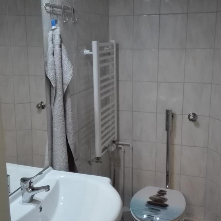 Ferien - und Messewohnung am Wöhrder See - Apartamento de 3 dormitorios - 9