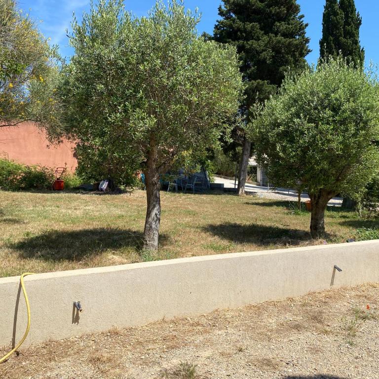 le Jujubier - Apartamento de 2 dormitorios - 2