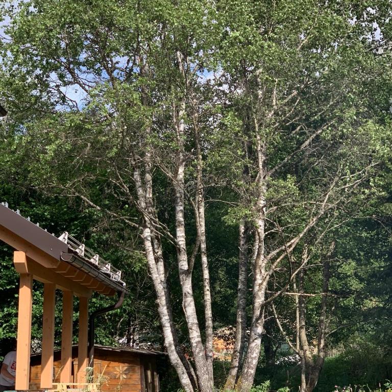 Chalet Angelo - Chalet - 23