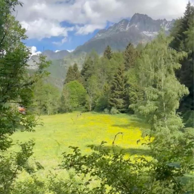 Chalet Angelo - Chalet - 29