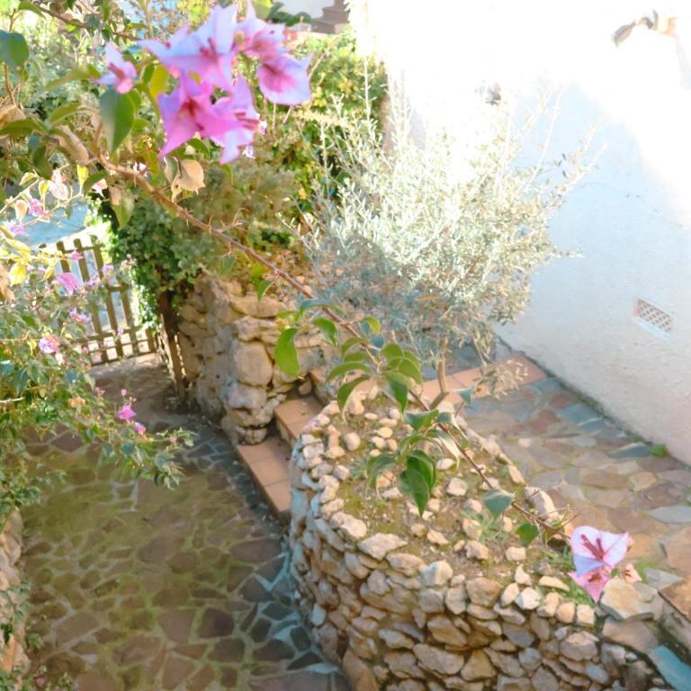 Brusselles 3 - Two-Bedroom House - 15