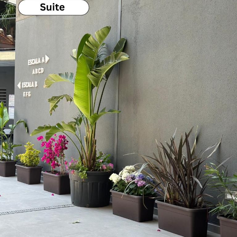 Hotel Acacias Suites & Spa - Suite Premium - 3