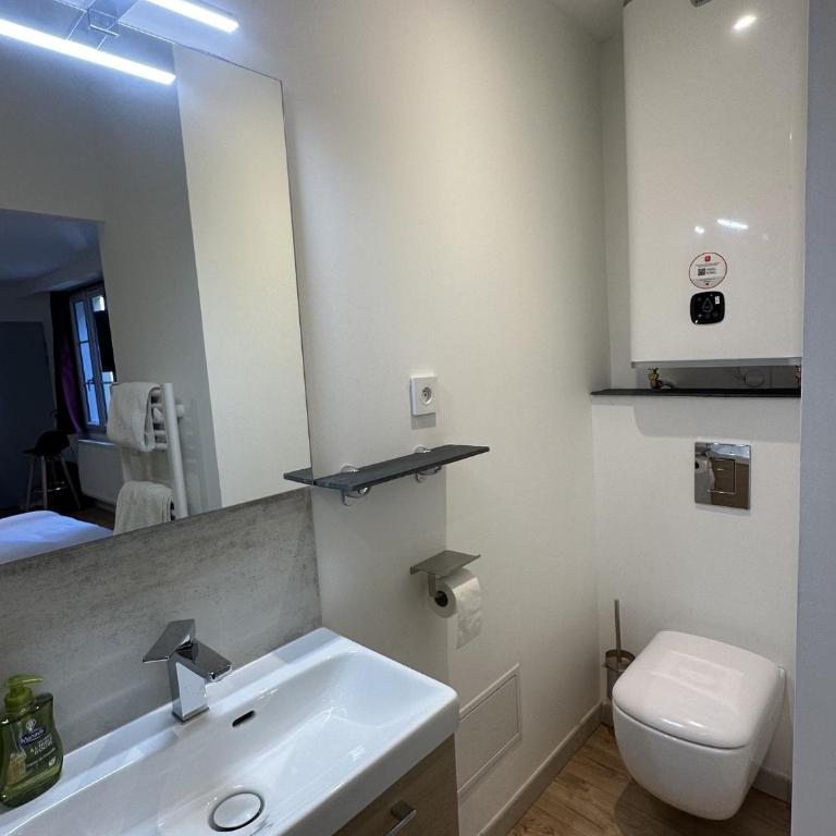 Hyper Centre 14 rue Valdemaine - Appartement avec Douche - 8