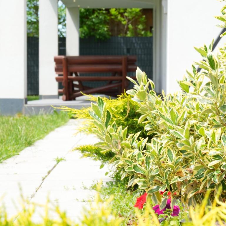 Vila Gaia - Apartman sa 1 Spavaćom Sobom - 10