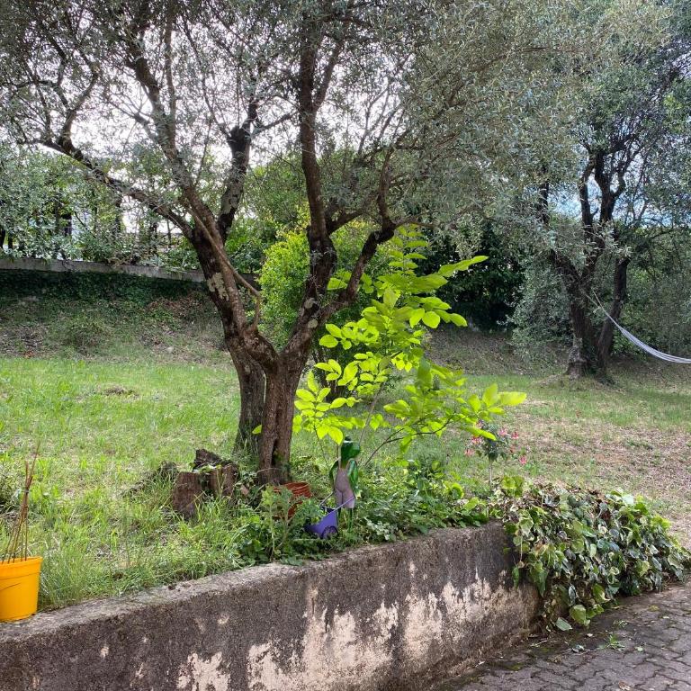 Appart 6 personnes au vert, Côte d'Azur - Appartement 2 Chambres - 20