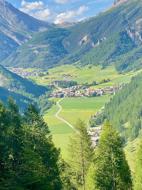 Les granges d'Arvieux vue sur le Queyras - Appartement 2 Chambres avec Vue sur la Montagne - 58