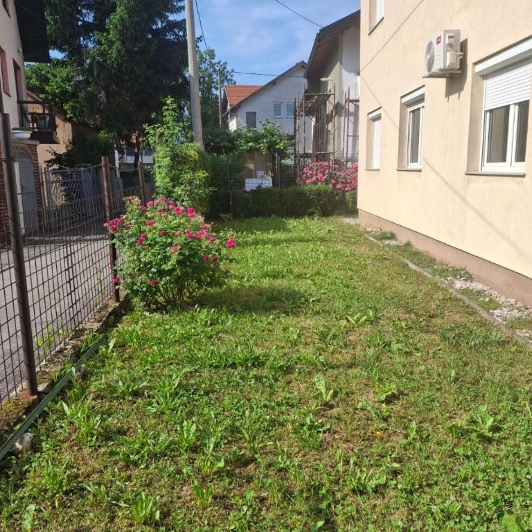 Vila Kasindol - Apartman - Prizemlje - 2