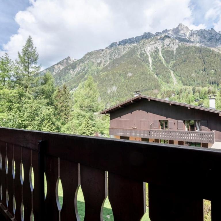 Stunning flat with Mont Blanc's view and balconies - Appartamento - 19