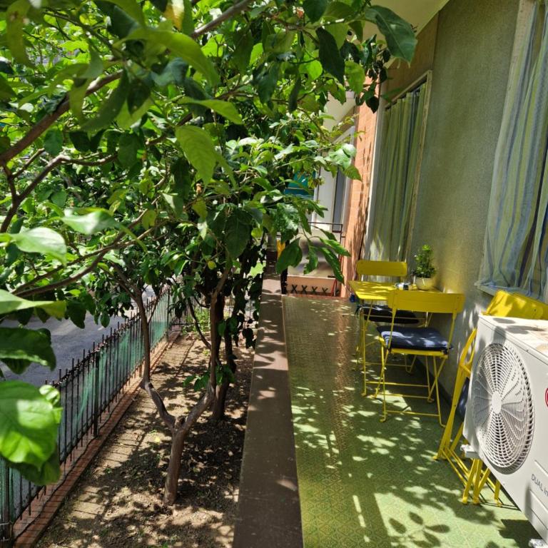 Alis home 100 mt dal mare - Appartamento con 1 Camera da Letto - 29