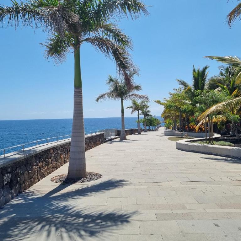 Ocean Sunset view, Air Conditioned, Renovated apartment - Studio-Apartment - 38