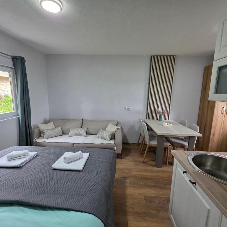 Apartments Javorje Žabljak - Studio with Garden View - 11