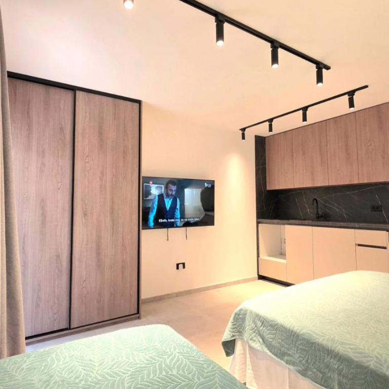 Anja & Ogo apartments with Pool 2 - Standardni Trokrevetni Studio - 9