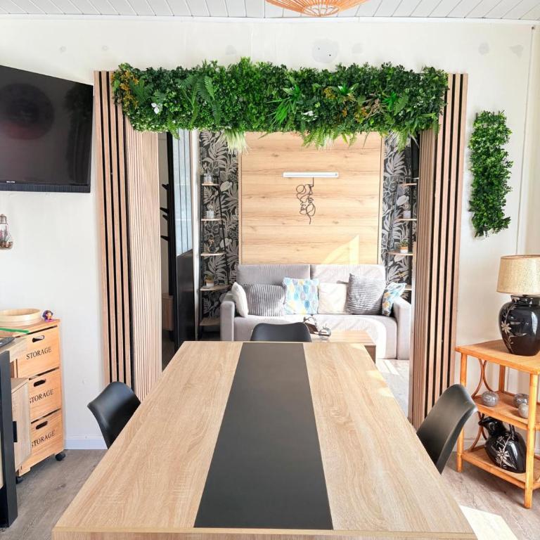 REZ DE JARDIN ST CYPRIEN Posez vos valises chez nous - Appartamento - 14
