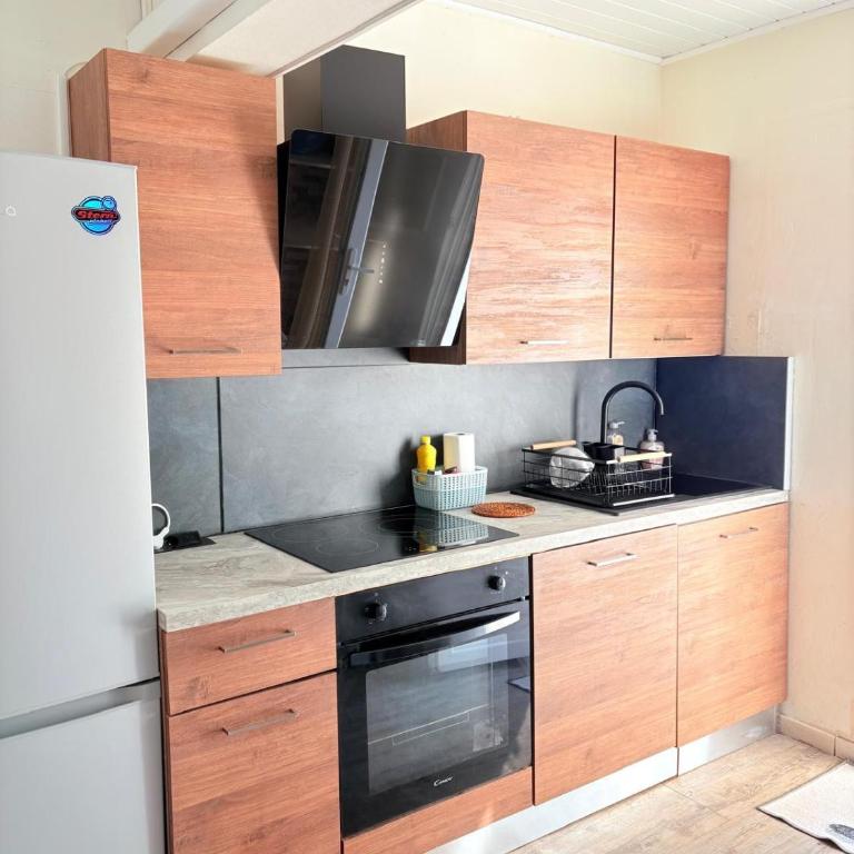 REZ DE JARDIN ST CYPRIEN Posez vos valises chez nous - Appartamento - 15