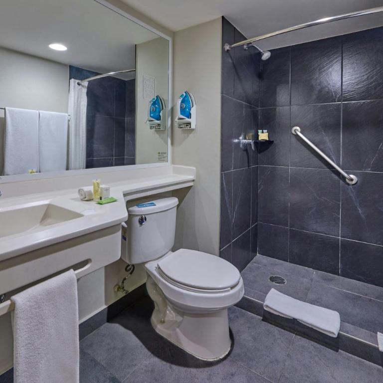 City Express Plus by Marriott Guadalajara Palomar - Chambre Lit Queen-Size - 5