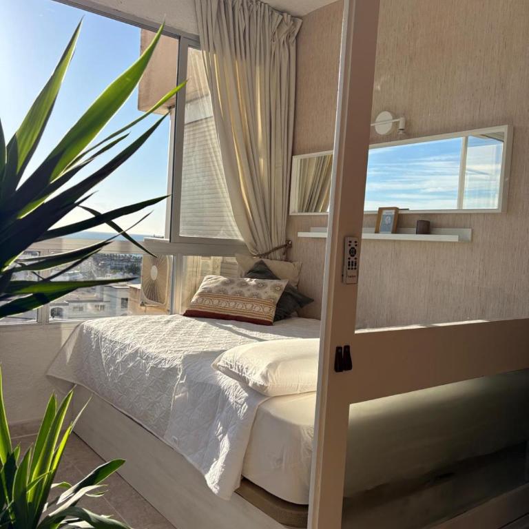 La Colina - Apartamento de 1 dormitorio - 6