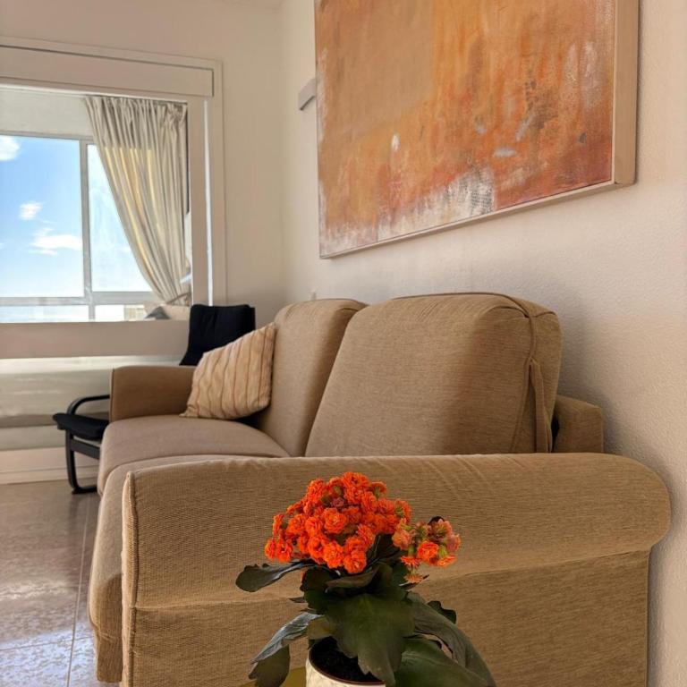 La Colina - Apartamento de 1 dormitorio - 9
