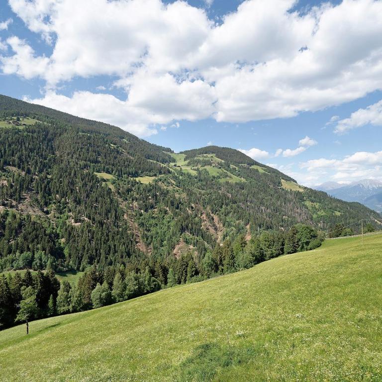 Marschalkhof Peilstein - Two-Bedroom Deluxe Apartment with Garden View - 7