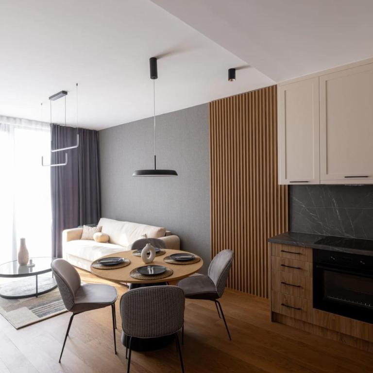 Zlatibor Aria Resort - One-Bedroom Apartment - 4