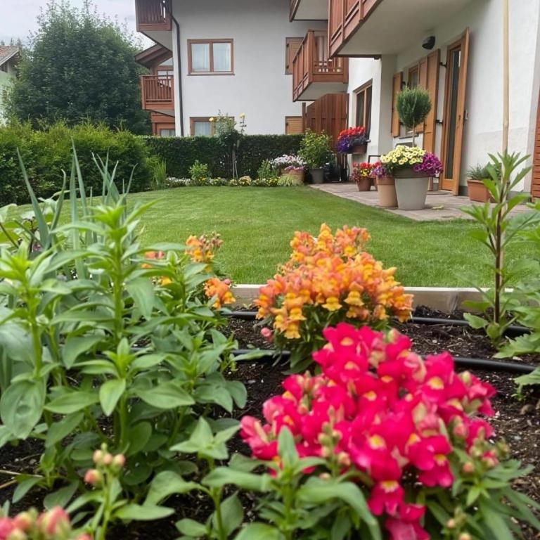 Casa Beba by Go new location - Appartamento con 2 Camere da Letto - 1