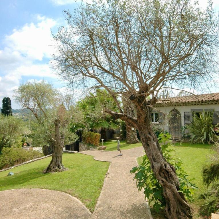 Villa 45 La Cove Sur Loup - Bungalow avec Terrasse - 1