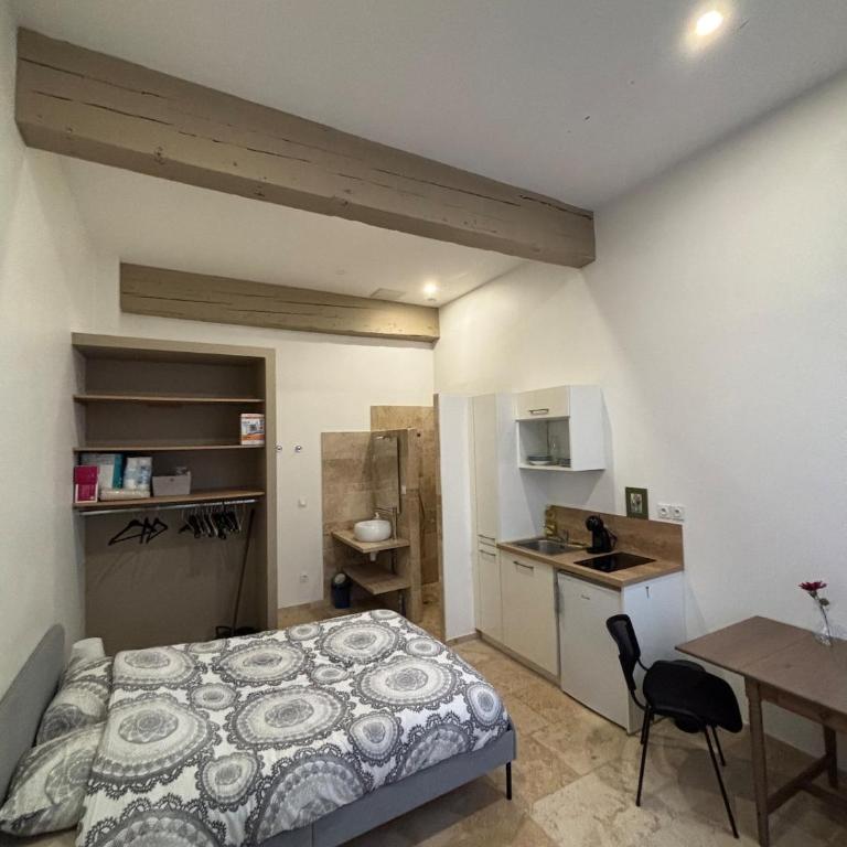Studio rue Chenoise hyper centre Grenoble - Appartamento con 1 Camera da Letto - 1