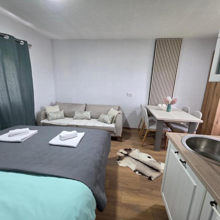 Apartments Javorje Žabljak - Studio with Garden View - 4