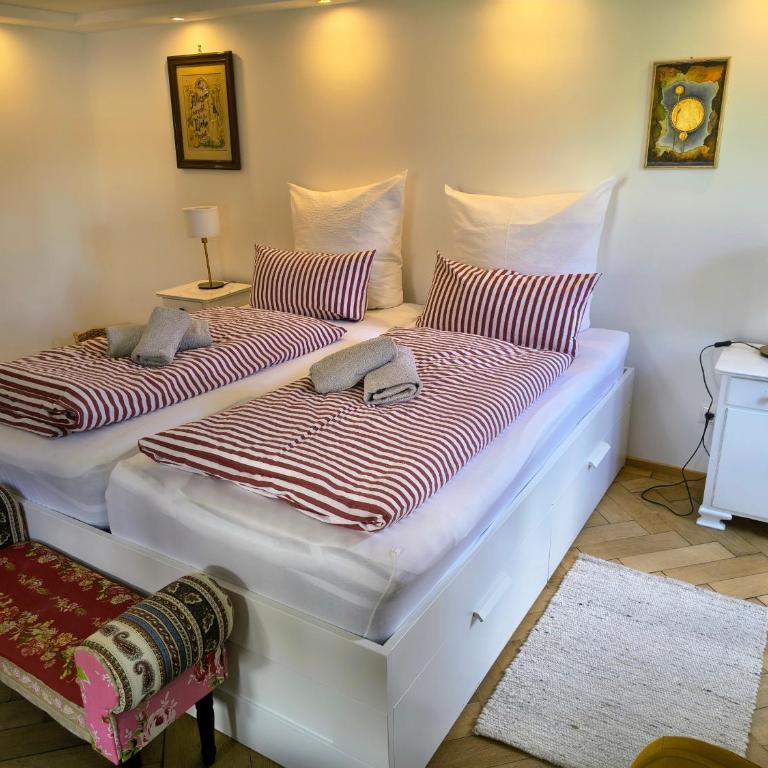 Ferienwohnung RESL - geschmackvoll renoviert & zentral im historischen Schindelhaus - Apartment mit 1 Schlafzimmer - 9