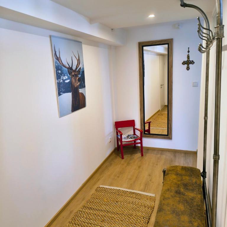 Ferienwohnung RESL - geschmackvoll renoviert & zentral im historischen Schindelhaus - Apartment mit 1 Schlafzimmer - 3