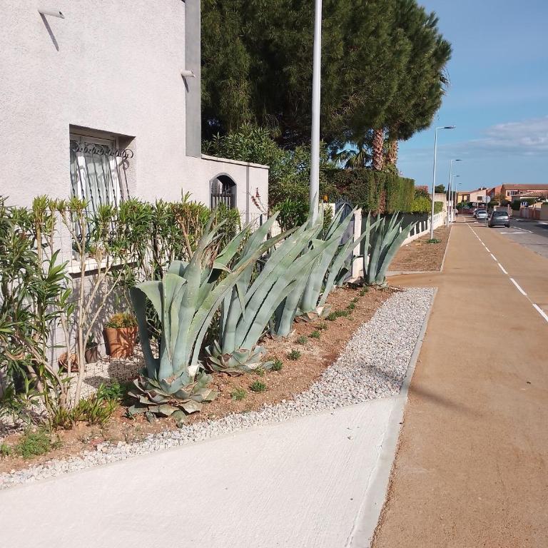 Villa d architecte climatisée classée 4 étoiles - Maison 3 Chambres - 2