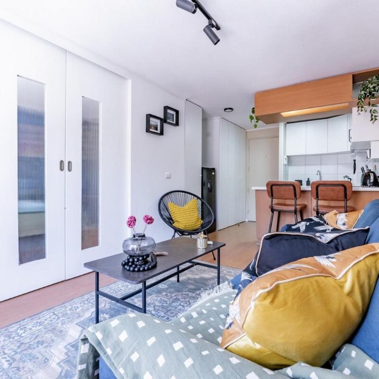 Lastarria remodelado, ideal parejas - One-Bedroom Apartment - 26
