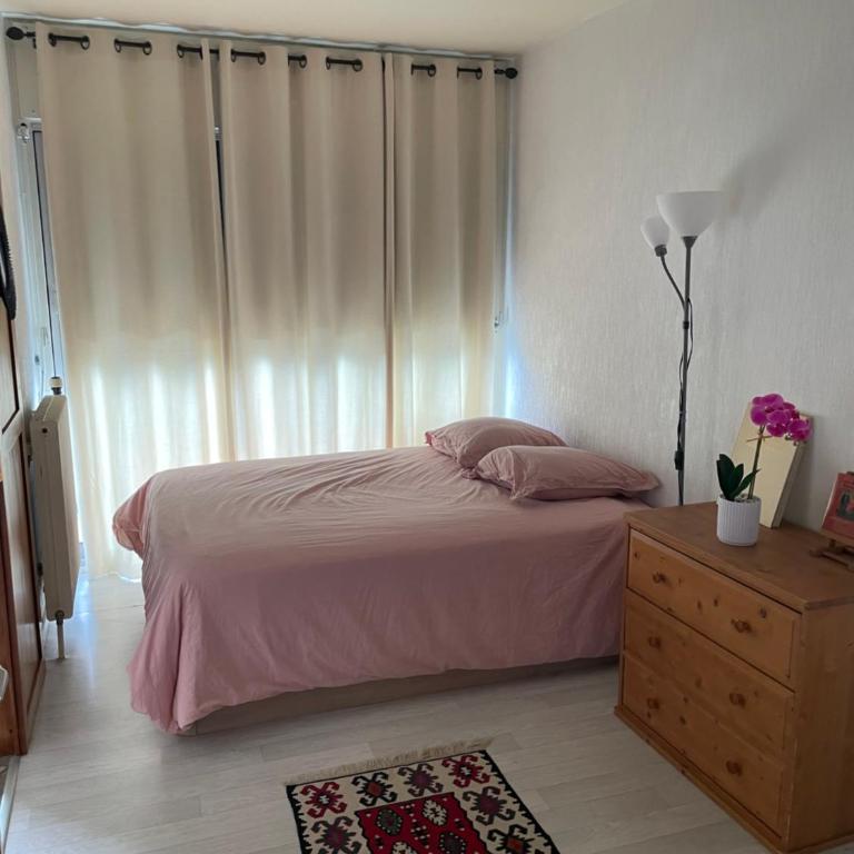 Idéal frontalier 15 min centre Geneve - Appartement 1 Chambre - 3