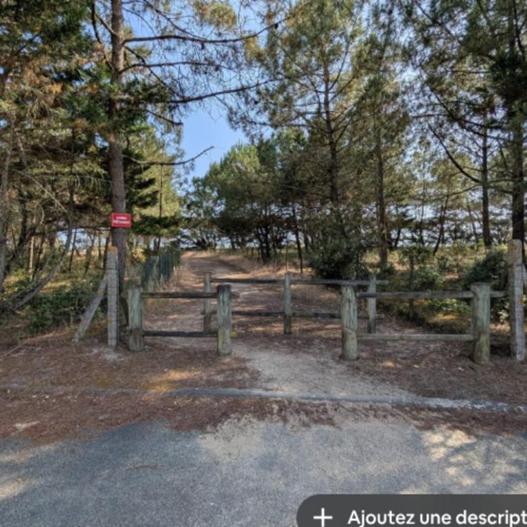Pretty house in a quiet area 100m from the beach - Casa - 24