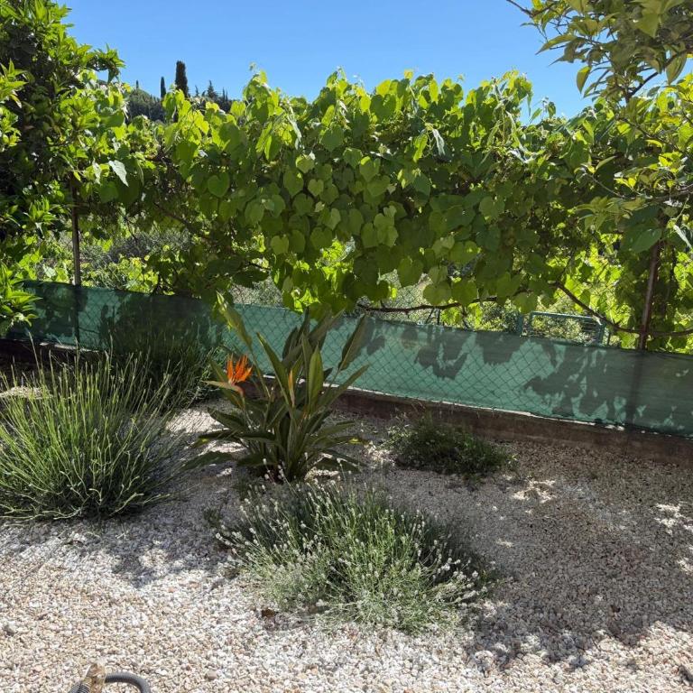 Villa Le jardín Secret - Havre de Paix à Mougins - Villa 3 Chambres - 12